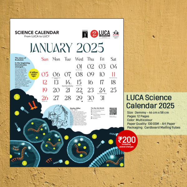 Luca 2025 Science Calendar - English