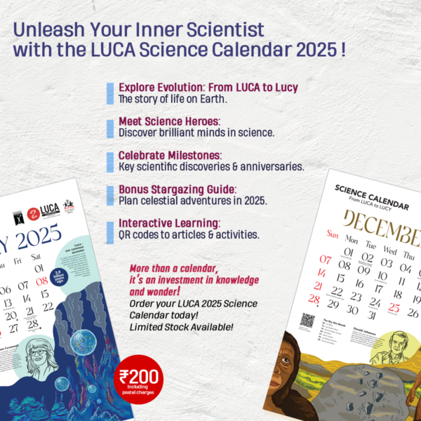 Luca 2025 Science Calendar - English - Image 3